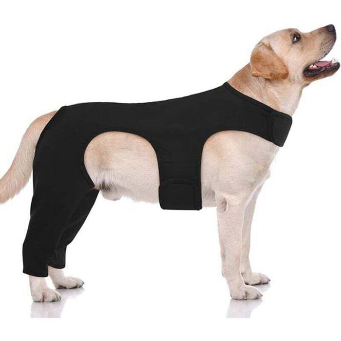 Combinaison de convalescence pour chiens - LUSKYKA® - Protection post-opératoire - Anti-léchage
