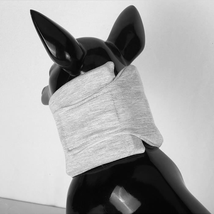 Meilleurs prix pour collier cervical pour chien Collier de récupération pour chien réglable pour empêcher le léchage Collier cervical