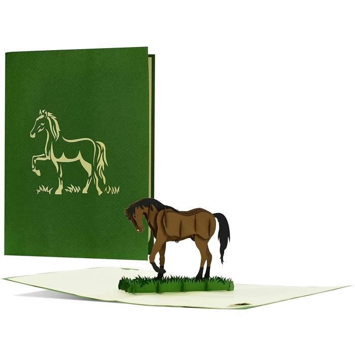 Carte Anniversaire Cheval Cdiscount