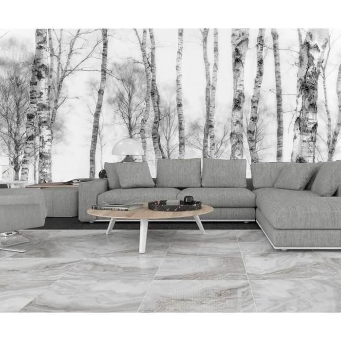 Papier Peint Panoramique Jungle Noir Et Blanc 3D Soie - Bosquet ...