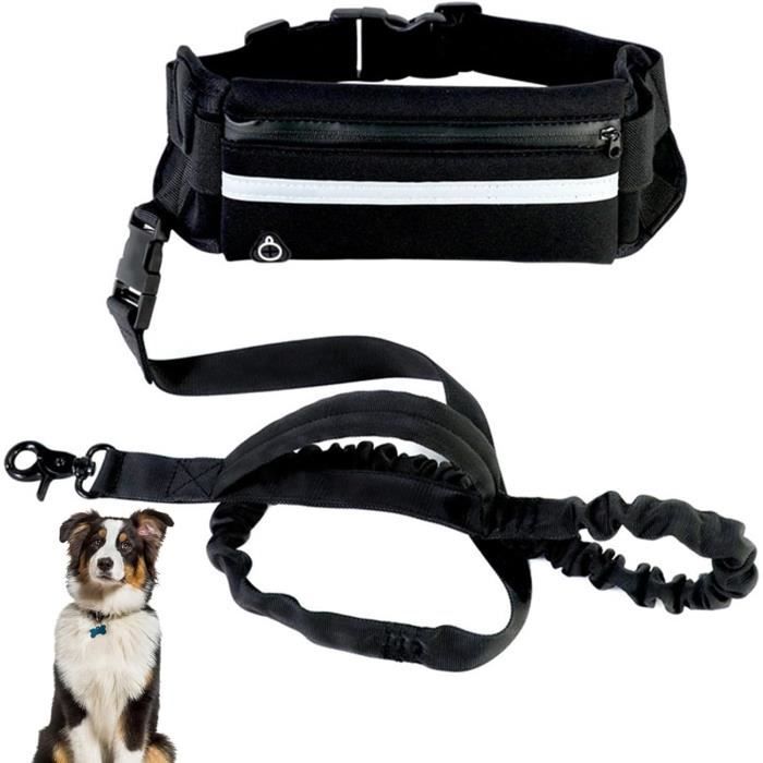 Aiqeer Laisse Chien Mains Libres, Ceinture Réglable Orange et Laisse Élastique Rétractable Gris