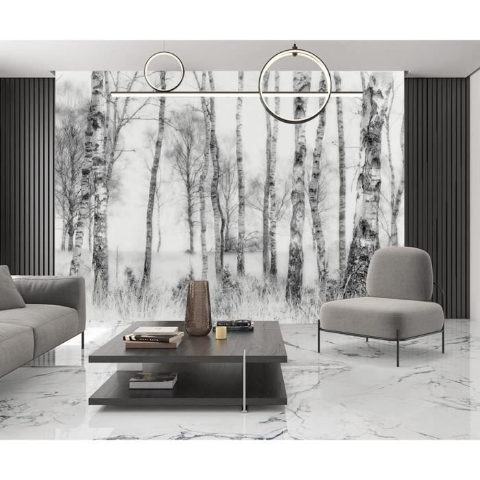Papier Peint Panoramique Jungle Noir Et Blanc 3D Soie - Bosquet ...