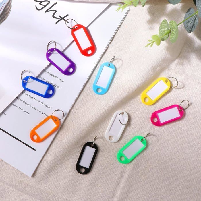 Lot De 100 Porte-Clés Étiquetables - 10 Couleurs, Avec Anneaux Et Papiers Inscriptibles - Pour Clés, Bagages, Animaux