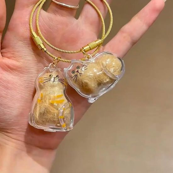 3 PCS Boîte à Souvenirs Pour Poils D'animaux De Compagnie