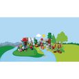 LEGO® 10907 DUPLO Les Animaux du Monde Jouet Éducatif pour Enfant de 2 - 5 ans incluant des figurines, un Avion et 15 Animaux Duplo-5