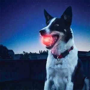 Balle Lumineuse Rebondissante Croci - Un chien dans le Marais