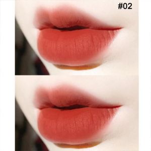 ROUGE A LÈVRES Type 2-Ensemble de rouge à lèvres mat, brillant à lèvres, glaçure velours, longue durée, lisse, imperméable,