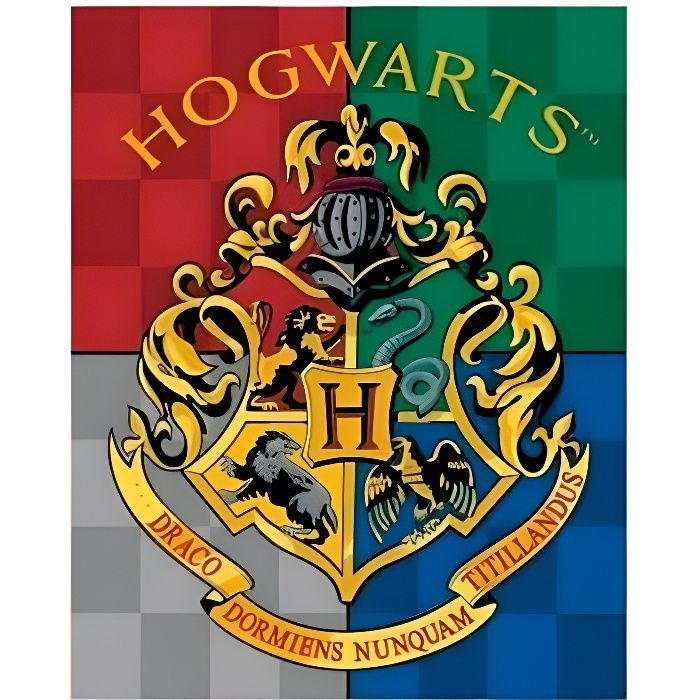 kidparadise - Harry Potter - Couverture plaid polaire 100 x 140