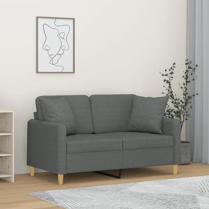 vidaXL Canapé 2 places avec oreillers gris foncé 120 cm tissu canapé causeuse canapé de salon canapés canapé rembourré 3200902