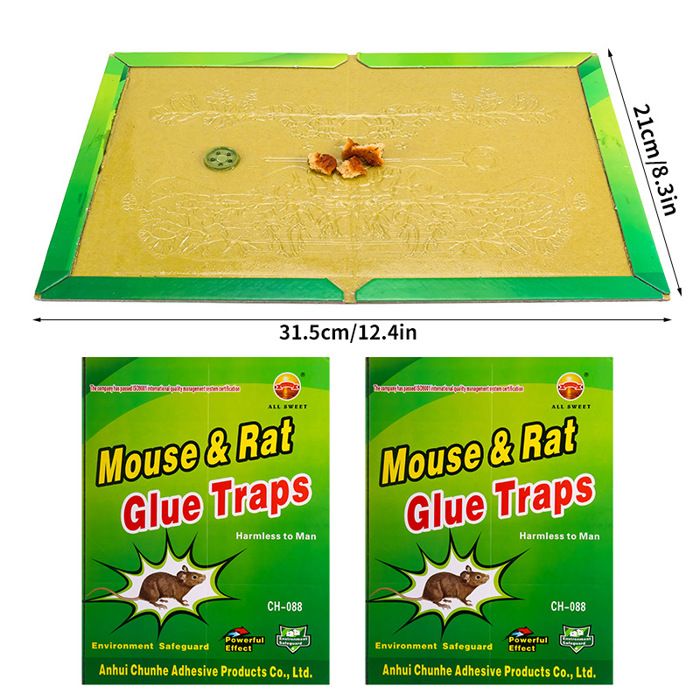 Piege Souris Piège à Glue TRAPXPERT - 10 Pièces Ultra-collantes Pour éliminer Rats Et Souris Sans Poison - Sécurisé Pour Animaux Domestiques Pièges Collants TRAPXPERT Lot 10 Piege Souris Piège à Glue TRAPXPERT - 10 Pièces Ultra-collantes Pour éliminer Rats Et Souris Sans Poison - Sécurisé Pour Animaux Domestiques Pièges Collants TRAPXPERT Lot 10