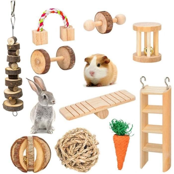 jouets à mâcher pour hamster, lot de 10 jouets à mâcher en bois naturel pour petits animaux