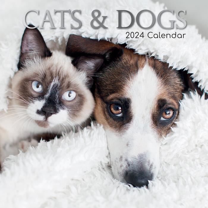 Année Du Chat. Calendrier Mural Pour 2023 Avec De Jolis Chats De Style Plat. Des Chats