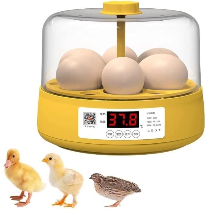 Chauffage Pour Poulailler 150W Avec Thermostat - Minuterie, Affichage Numérique, Anti-basculement - 10