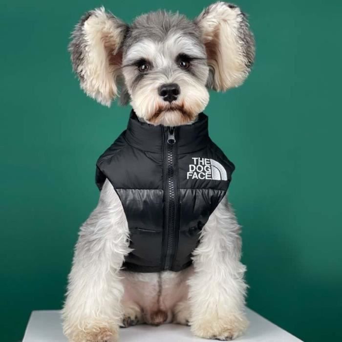 Vetement chihuahua luxe sales