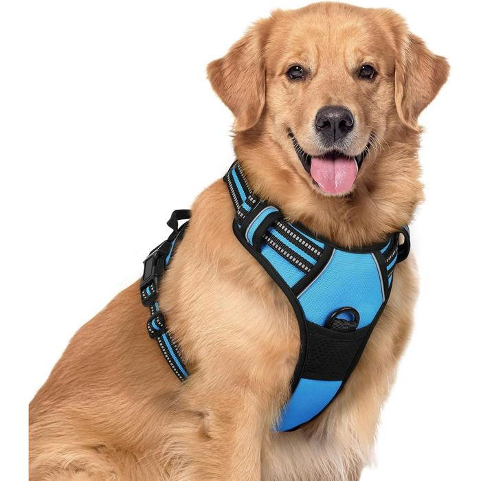 Comparer les prix de Rabbitgoo Harnais Chien Réglable Gilet Chien avec Poignée Contrôle Harnais Réfléchissant Matériau Respirante Durable-Bleu Clair-XL
