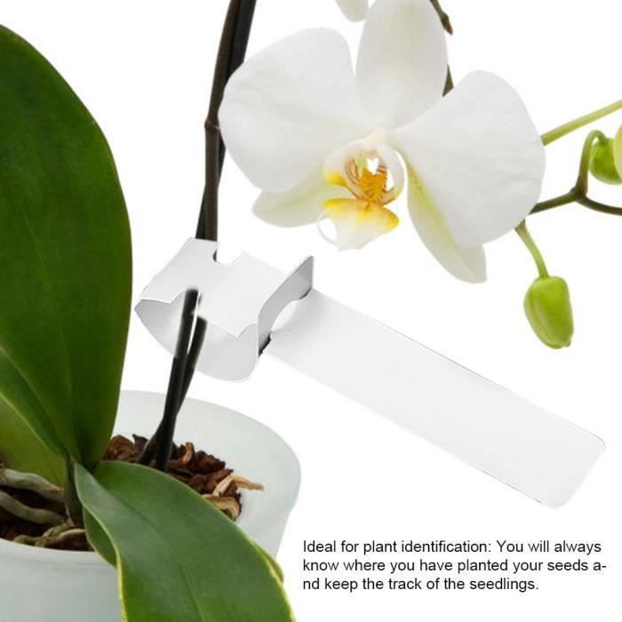 Étiquettes Plantes Suspendues 100 Pièces - Marqueurs Jardin Plastique Réutilisables Multicolores