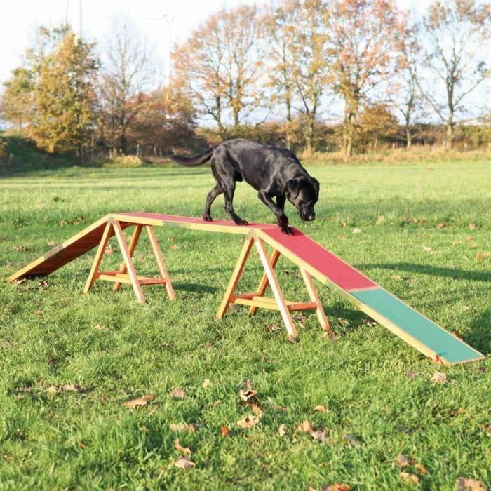 Dog activity agility passerelle - 456 × 64 × 30 cm
