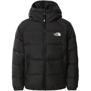 Parka north face homme - Cdiscount