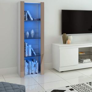 VITRINE - ARGENTIER Vitrine Lumières LED Meuble de Rangement avec Etagères sur Salon, Bureau, 55 x 35 x 166 cm (Gris+Blanc)