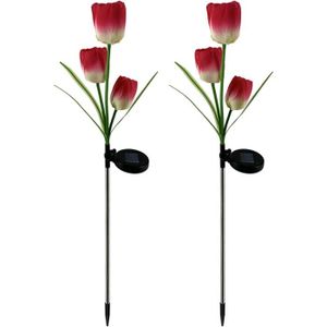 LAMPE DE JARDIN  Lot De 2 Lampes Solaires De Jardin - Tulipes Artif