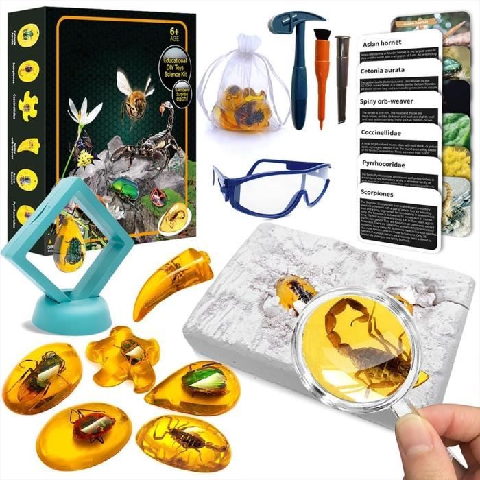 Kit de Exploration fouilles archeologie pour Enfants Insectes fossiles Ambre Pierres précieuses geode a Ouvrir Kits éducatifs