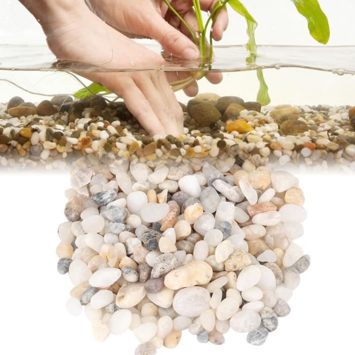WAYBER pierres blanches galets décoratifs sable de roche pour Aquarium –  KOL PET