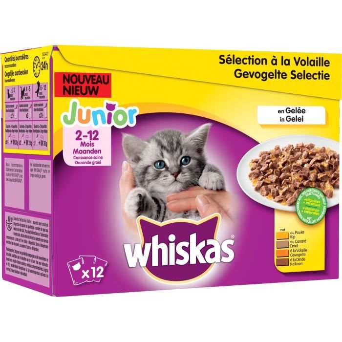 Whiskas Bouchees En Gelee A La Volaille Pour Chat Sachet 12x100g Junior 2 A 12 Mois Achat Vente Boites Patees Whiskas Bouchees Cdiscount Whiskas Bouchees En Gelee A La Volaille Pour Chat Sachet 12x100g Junior 2 A 12 Mois Achat Vente Boites Patees Whiskas Bouchees Cdiscount