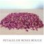 Confettis De Pétales De Rose 100g - Pétales Séchés Naturels Pour Mariage, Spa Et Décoration Romantique