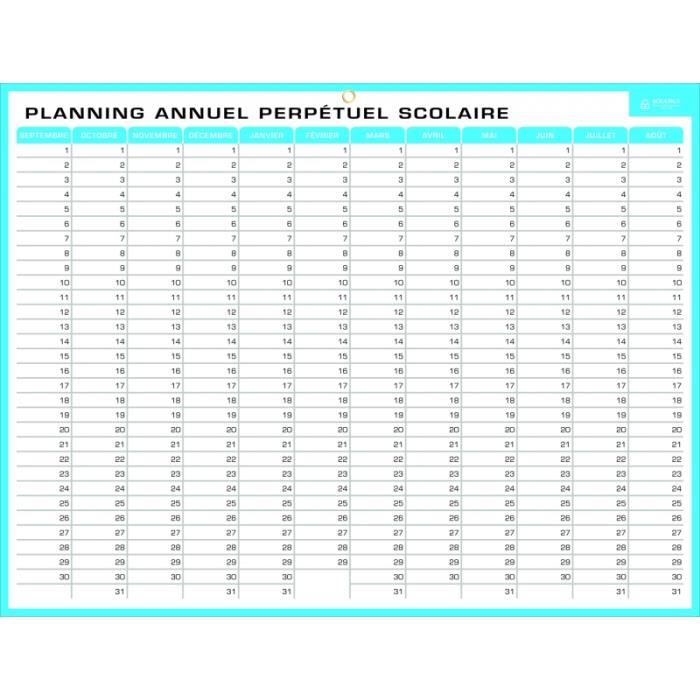 Planning perpétuel annuel - effaçable à sec - 60 x 99 cm sur