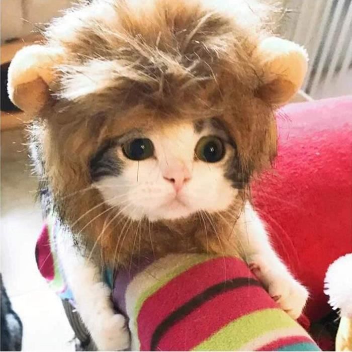 Déguisement Lion Pour Chien/chien - Perruque Crinière Ajustable, Trous Pour Oreilles, Pour Fêtes, Photos, S/M/L - 3