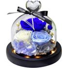 Rose Eternelle sous Cloche - AMOUNE - Coeurs pêche - Verre - Fleurs naturelles - Décoratif