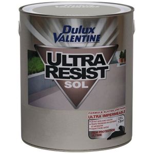 Peinture Ultra Resist Sol Gris Orly 2 5 L Achat Vente