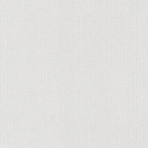 Papier Peint Intissé Blanc Rasch 507041 | France