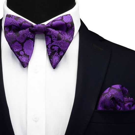 Nœud Papillon Et Carré De Poche Homme - Coton Microsuède - Réglable Jusqu'à 53 Cm - Ensemble élégant