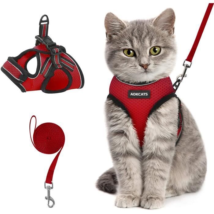 AOKCATS Harnais pour Chat/petit Chien avec Laisse Gilet confortable, réglable, facile à mettre et réfléchissant, Taille M/Rouge