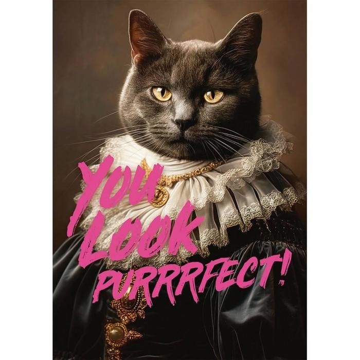 Puzzle 1000 pièces «You look purrrfect !» – 48 x 68 cm dès 12 ans