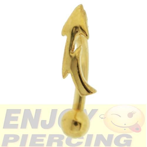 Piercing Arcade Plaqué Or Flèche - Cdiscount Au quotidien
