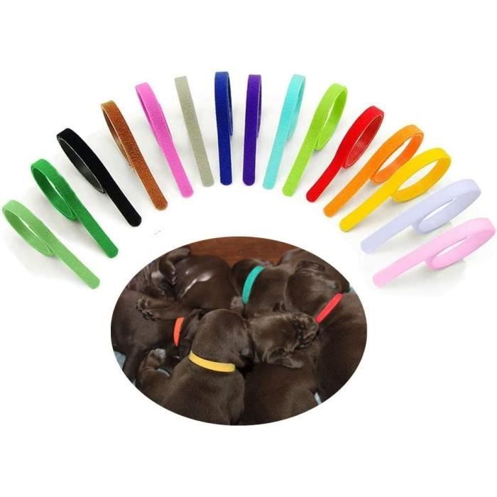 15 Pièces Collier Chiot, 15 Couleurs Colliers Identification De Chiot Colliers Didentification Pour Animaux Id Ruban Auto Adhesif Pour Chiot Collier Identification Reglable De Chaton 85015326