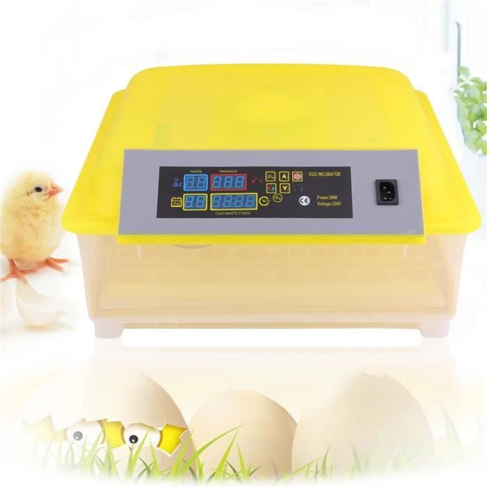 Couveuse Automatique 7 Œufs – Écran LED Digital – Idéale Poulets, Cailles, Canards – Incubateur Poussins Maison