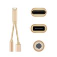 CABLING® USB C Adaptateur USB C vers Jack Audio Aux 3,5 mm et Chargeur USB C-2