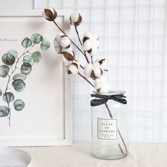 Fleurs De Coton Séchées Naturelles 10 Pièces - Tiges 42 Cm - Décoration Maison, Bouquet Sec, Style Rustique - 5