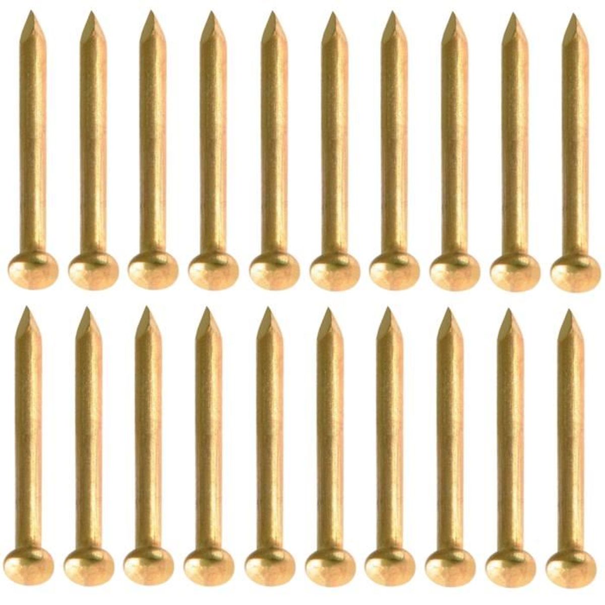 cyclingcolors 2 x shuttlelamp, 6 V, 3 W, 8 x 31 mm, SV7, auto