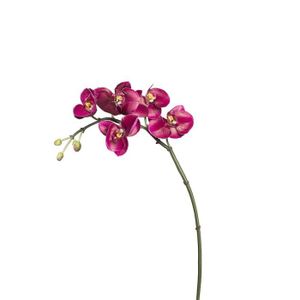 FLEUR ARTIFICIELLE Tige d'Orchidée Phalaenopsis Budy - Fuchsia / 42 cm