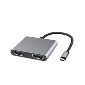 Adaptateur vidéo USB-C vers sortie HDMI 1.4 double