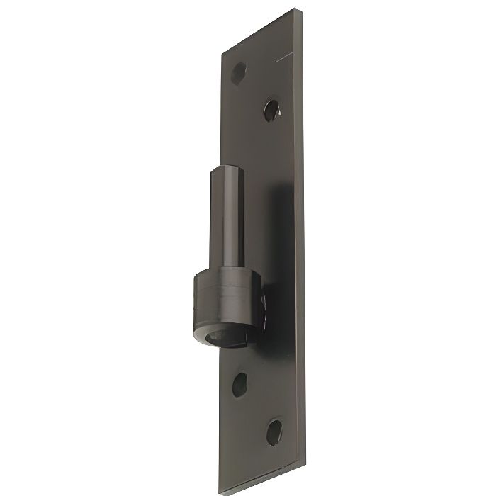 Gond sur platine TORBEL - Noir - Ø 14 mm - P35303314