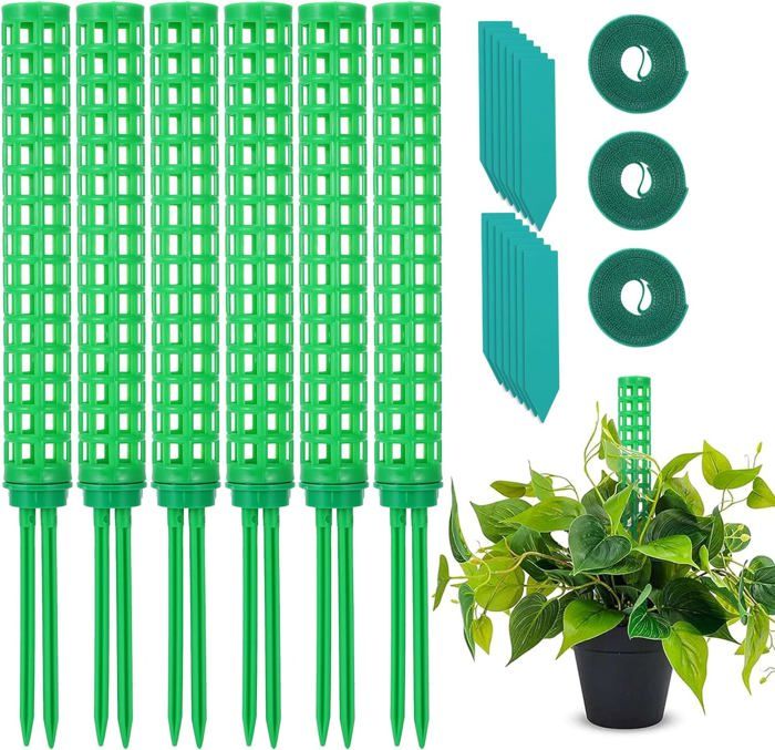 4 Pièces Support De Plantes D'intérieur, Tuteur Pour Plantes Grimpantes Lot De 4 Supports De Plantes De Jardin Pour Anneau De Plante Pieux Pivoines Plantes Vivaces