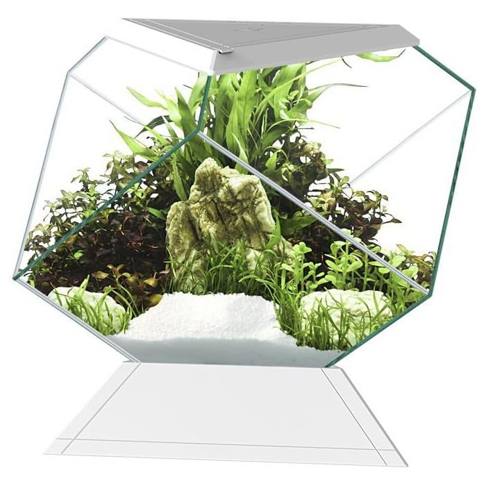 Meilleurs prix pour Aquarium Askoll Nexus 5C Betta Life 55L Design Moderne