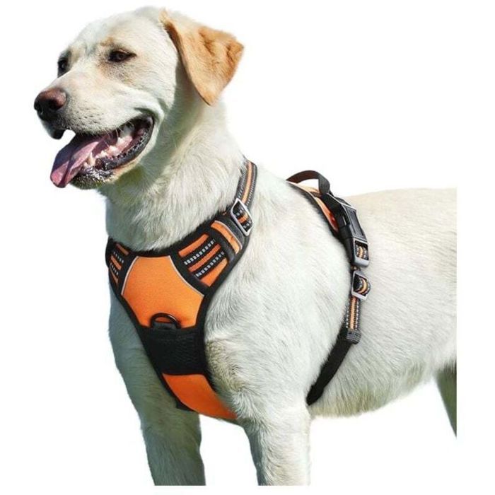 Harnais Chien Moyen/Grand Orange Réfléchissant Anti-Traction Réglable avec Poignée Respirant Durable et Facile à Mettre