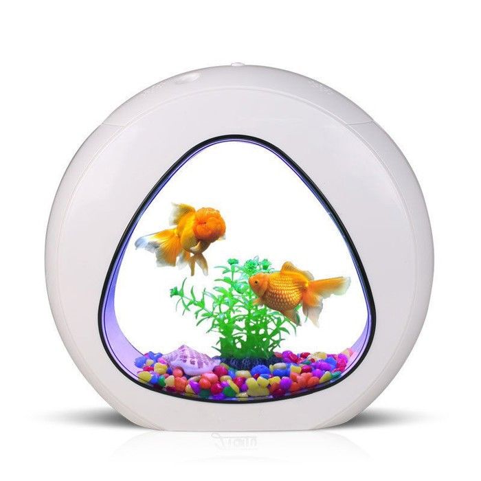 Ensemble aquarium SunSun Smart Aqua 4l - blanc 4l Ensemble aquarium SunSun Smart Aqua 4l - blanc 4l