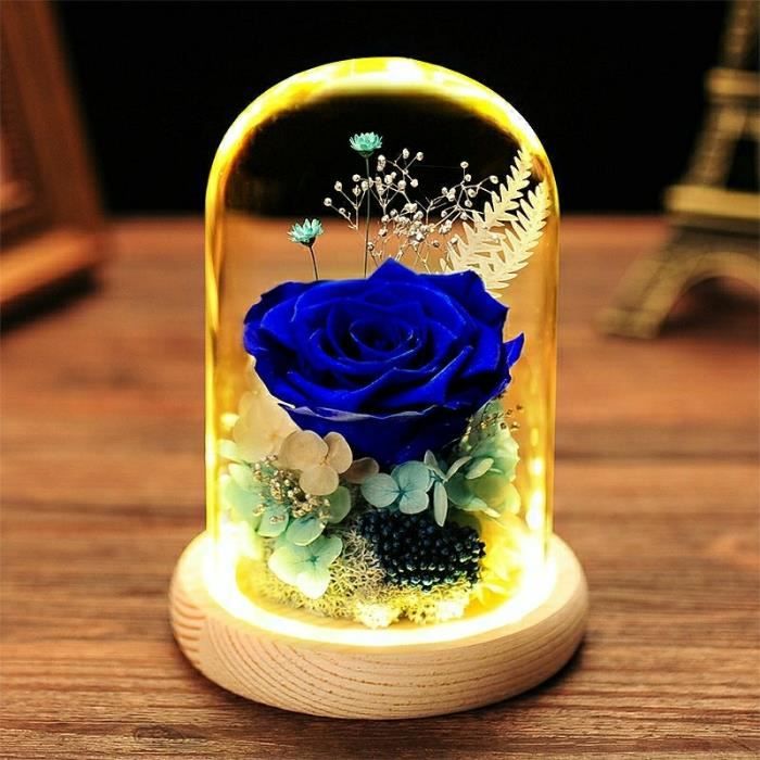 Rose Éternelle Sous Cloche Lumière de Dôme avec Lumière,Fleurs Éternelles  Ornement avec Lumière et Base-Bleu - Cdiscount Maison